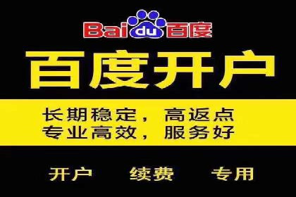 百度竞价推广成功案例：快速提升品牌知名度